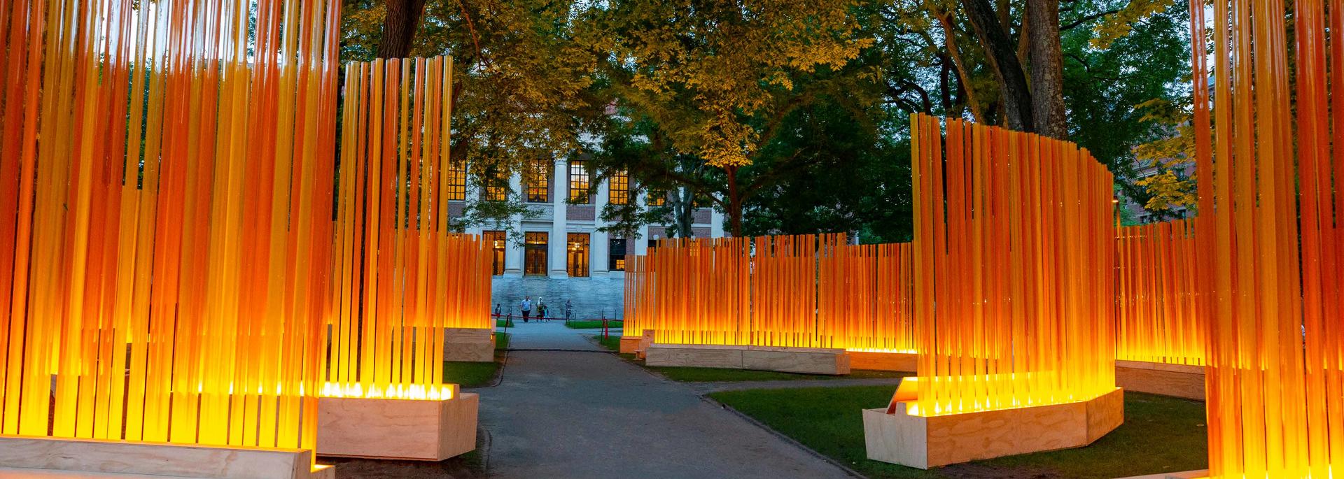 Art installation by Teresita Fernandez in Harvard Yard
