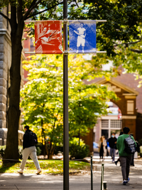 Harvard Campus with Banners 